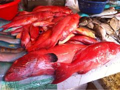 iphone_upload_pic-香港厨房