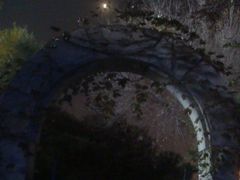 -Malena玛莲娜