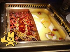 -九鼎轩脆毛肚火锅(三钢里店)