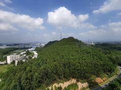 -美的鹭湖森林度假区