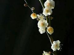-竹泉村旅游度假区