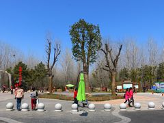 -合肥滨湖国家森林公园