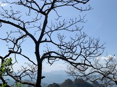 -武当山风景区