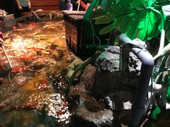 -太平洋海底世界