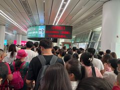 -厦门邮轮中心厦鼓码头(轮渡站)