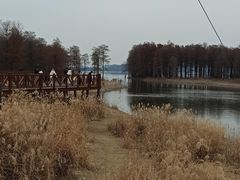 -四明湖
