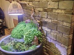 -鸢飞潍坊菜馆(鸢飞大酒店)