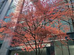 -弄堂里(阿里西溪A区店)