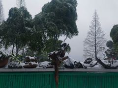 -缙云山景区