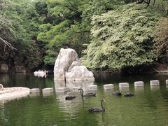 -昆明动物园