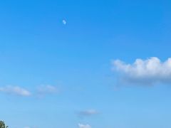 -海口火山口国家地质公园