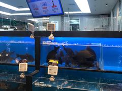 -盒马鲜生(宝地店)