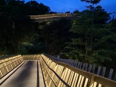 -福道