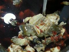 -温江公平红烧兔(总店)