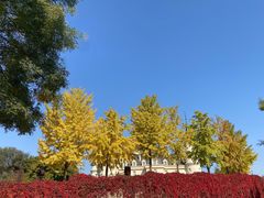 -北京张裕爱斐堡酒庄