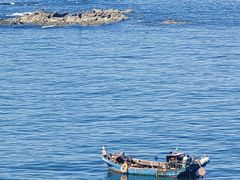 -星海湾跨海大桥
