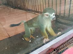 -荆州中山公园动物园