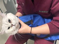 -瑞派福兴宠物医院犬猫全科·骨科·中西医结合(河东店)