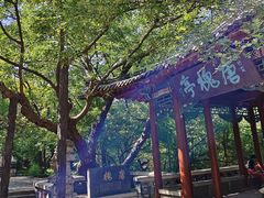 -千佛山风景名胜区
