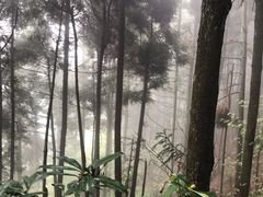 -井冈山风景名胜区