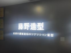 -藤野造型