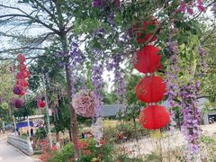 -广州白江湖森林公园