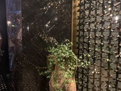 -Tivano意大利餐厅(成都居舍酒店)