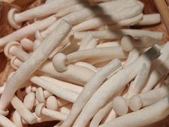 -烹然四季椰子鸡火锅(姚家园万象汇店)