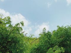 -梧桐山风景名胜区