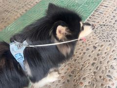 -安吉龙王山峡谷漂流
