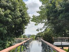 -立新湖公园