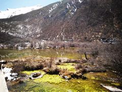 -黄龙山原始森林景区