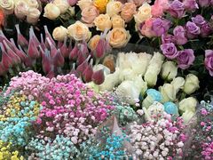 -桂林市花鸟市场