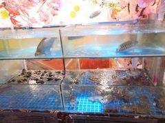 水产区-特色酱椒鱼私房菜(黄鹤楼店)