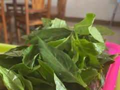 -15年老字号鑫鑫猪肚鸡·椰子鸡海南火锅(兴隆华侨农场店)