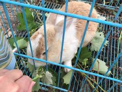 -美家乐农庄·露营·团建(大治路店)