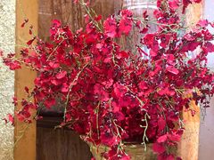 -满汉楼(江畔店)