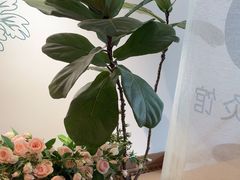 -左悦·艾灸调理·推拿按摩·精油SPA(卓悦汇店)