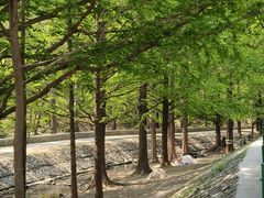 -白水寺森林公园