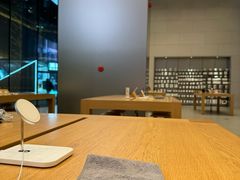 -Apple零售店(华贸购物中心店)