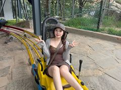 -沂蒙山旅游区云蒙景区(蒙山国家森林公园)