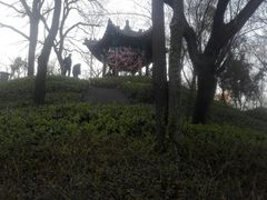 -迎泽公园