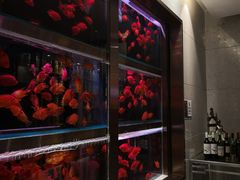-青岛西海岸隆和福朋喜来登酒店