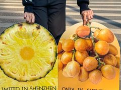 -茶力的小怪兽(梅林卓悦汇店)