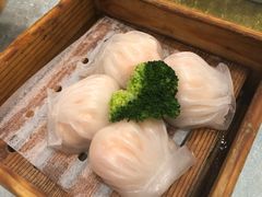 -鹅城