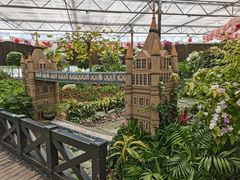 -南宫五洲植物乐园