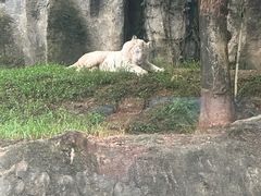 -杭州野生动物世界