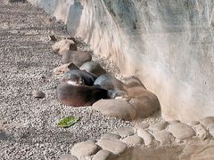 -昆明动物园