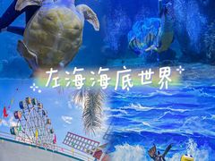 -左海海底世界