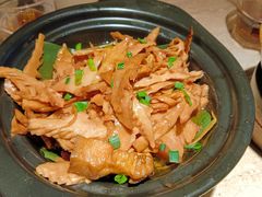 -佬肥猫(七宝宝龙店)